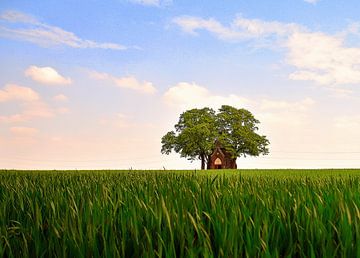 Chapel among young grain. by Patrick Hartog