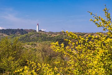 Blick vom Swantiberg auf den Leuchtturm Dornbusch auf der Insel  von Rico Ködder