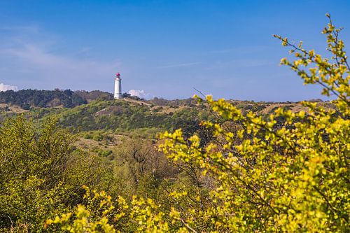 Uitzicht vanaf de Swantiberg naar de vuurtoren Dornbusch op het eiland