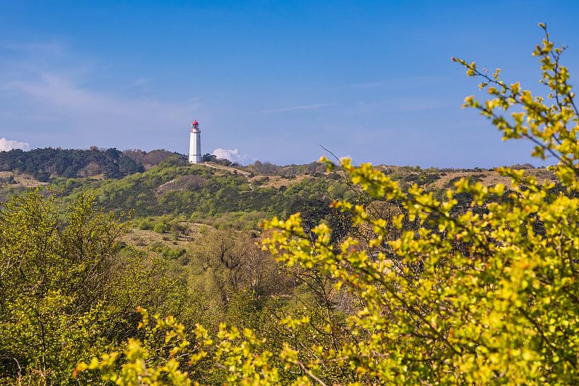 View from Swantiberg to the lighthouse Dornbusch on the island by Rico Ködder