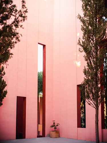 Muralla Roja Spanje | Roze abstracte muren