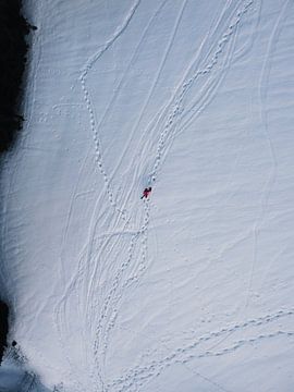 Sporen in de sneeuw - de eenzame skiër van Nico van Maaswaal