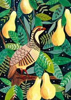 Partridge in a pear tree