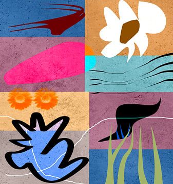 Herinneringen aan Matisse van Kay Weber