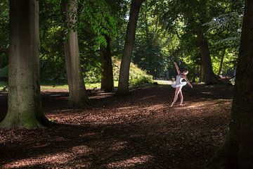 Ballet van Rene Kuipers