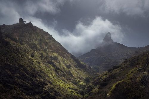 De verborgen schoonheid van de Afur-kloof in het Anaga-gebergte op een mistige dag