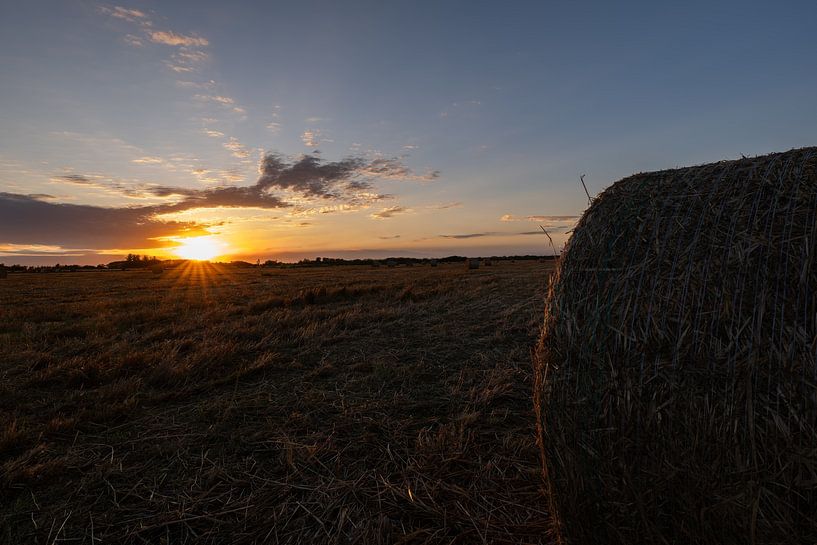 Rest after the harvest by WSPictures