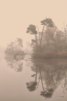 the sound of silence