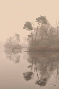 the sound of silence by Gerard Kanters