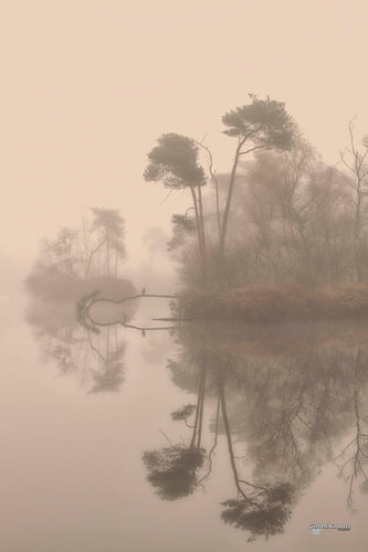 the sound of silence