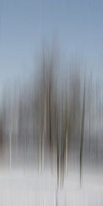 Winterbäume