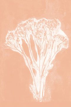Abstract white flower  in retro style. Modern botanical  art in light terracotta or pink s by Dina Dankers