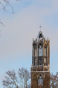 La tour Dom enneigée d'Utrecht depuis le parc Moreelse. (debout, à droite sur la photo)