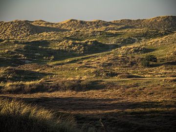 Grasduinen bij zee van Martijn Tilroe