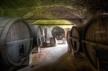 Grands tonneaux de vin au sous-sol.