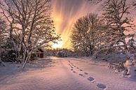 Snowsteps into the light van Marc Hollenberg thumbnail