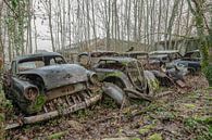 Abandoned vintage cars by Lien Hilke thumbnail