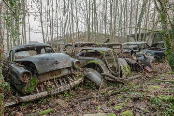 Abandoned vintage cars by Lien Hilke