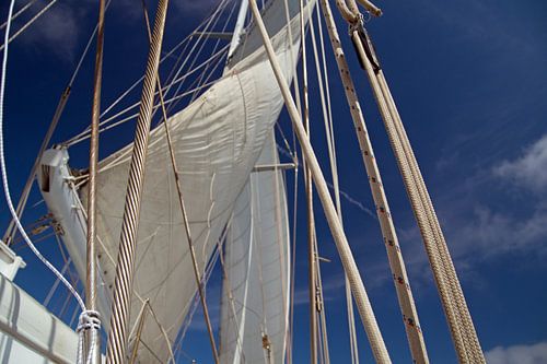 white sails, ropes as netting against blue sky