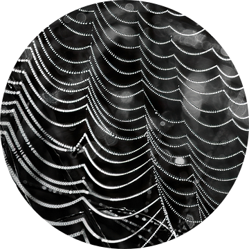 Spinnenweb met kleine dauwdruppels van Frank Heinz