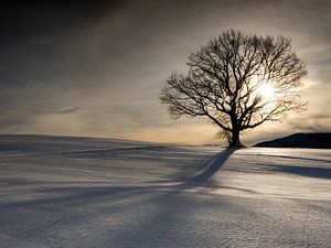 Winterstimmung