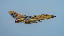 Duitse Panavia Tornado ECR in Tigermeet livery.