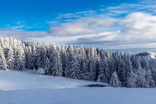 Merveilleux paysage hivernal de la forêt de Thuringe au Schneekopf