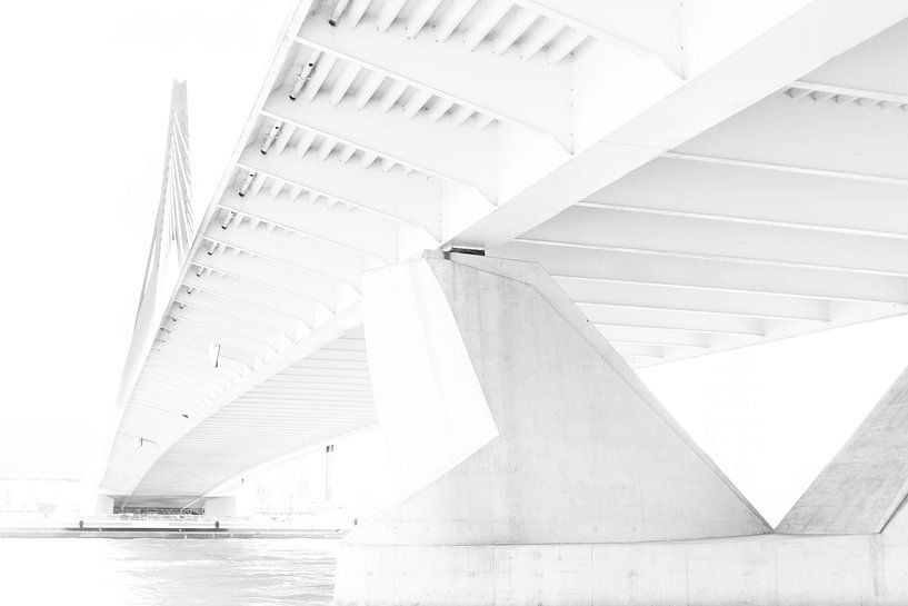 Erasmusbrücke von Marieke de Boer