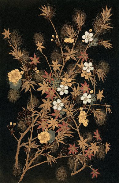 Japanese Autumn flowers, G.A. Audsley by Masterful Masters