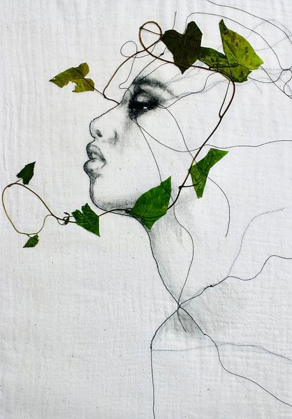'Ivy' by Kim Rijntjes