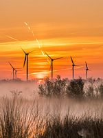 Windmills in National Park