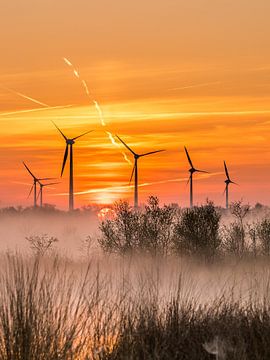 Windmühlen im Naturschutzgebiet von Lynxs Photography