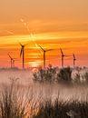 Windmühlen im Naturschutzgebiet von Lynxs Photography Miniaturansicht