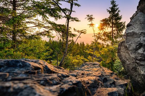 The sun is shining in the Harz Mountains