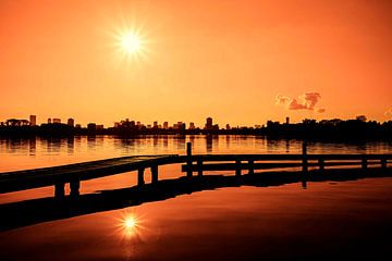 Rotterdam Kralingse plas (Orange and Black) van Rick Van der Poorten