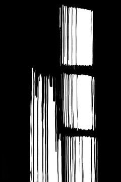 Schwarz-weiße abstrakte Linien von Ela Szczepaniak