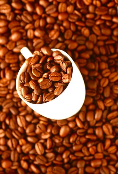 Kaffeebohnen von Thomas Jäger