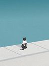 Minimal art van kat bij het zwembad van RickyAP thumbnail