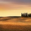 Typical landscape in Tuscany as panoramic picture by Voss Fine Art Fotografie