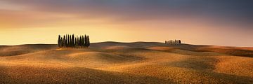 Typical landscape in Tuscany as panoramic picture