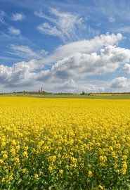 at Cape Arkona on the island of Rügen by Peter Eckert