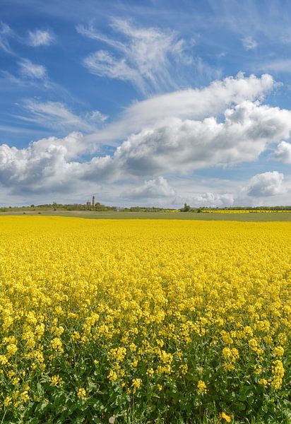 am Kap Arkona auf Rügen von Peter Eckert