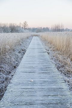 Vlonderpad in Friesland in winterse sfeeren van Lydia