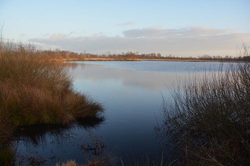 National Park De Grote Peel