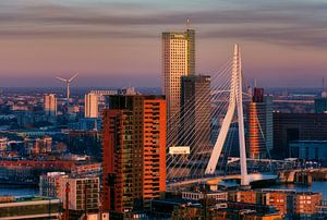 De Erasmusbrug in Rotterdam tijdens zonsondergang van Roy Poots