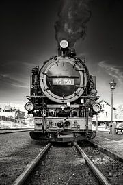 Ein Blick auf die Schmalspurbahn in Bertsdorf von Andreas Völkel