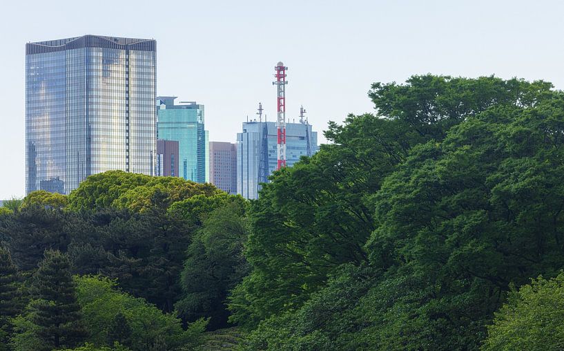 Tokyo Imperial Palace and National Garden Kokyo (Japan) by Marcel Kerdijk