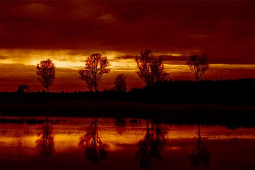 coucher de soleil sur les landes
