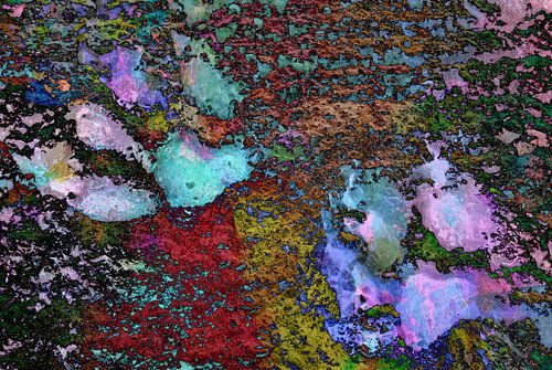 Paw Prints kleurspoeling