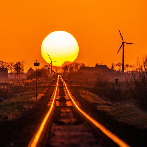 Volg het spoor von Harrie Muis